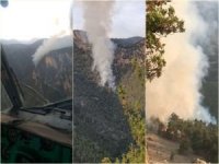 ​Adana'da çıkan orman yangınına müdahale ediliyor