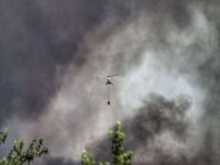 44 ilde çıkan 197 orman yangınından 185'i kontrol altına alındı