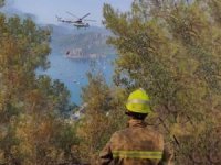 Orman Genel Müdürlüğü: 7 yangın kontrol altına alındı