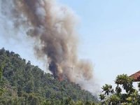Muğla'nın bir ilçesinde daha orman yangını çıktı