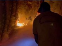 Orman Genel Müdürlüğü: 5 bölgede yangının söndürme çalışmaları devam ediyor