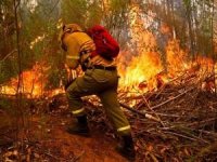 Cezayir'deki orman yangınlarında ölü sayısı artıyor