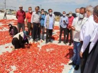 Diyarbakır Valisi Karaloğlu: Sulama imkanları artıkça sebze üretiminde daha iyi bir düzeye geleceğiz