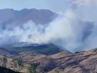Tunceli'deki orman yangının söndürme çalışması devam ediyor