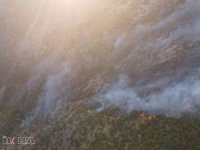 Bitlis'te çıkan orman yangını kontrol altına alındı