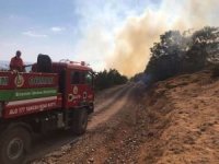 Orman Genel Müdürlüğünden yangın açıklaması