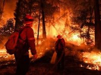 ABD'de "Caldor" yangını nedeniyle Nevada ve California eyaletlerinde acil durum ilan edildi