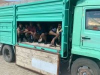 Briketlerin altına gizlenmiş 27 düzensiz göçmen yakalandı