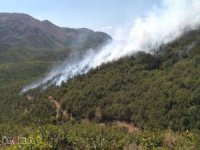 Antalya'da yıldırım düşmesi sonucu çıkan yangına müdahale ediliyor