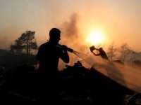 OGM: Orman yangınları yüzde 90 insan kaynaklı sebeplerle çıkıyor