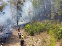 Kütahya'daki orman yangınında 4 hektar alan zarar gördü