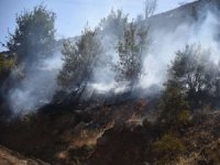 Marmaris ilçesinde çıkan orman yangınına müdahale ediliyor