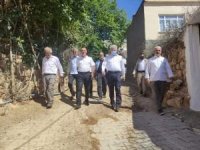 Milletvekili Özdemir Hasankeyf ilçesine bağlı köyleri ziyaret etti