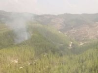 Adana'da ormanlık alanda çıkan yangın kontrol altına alındı