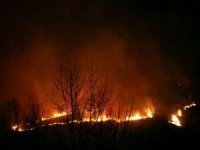İran'da orman yangını