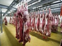 Moğolistan et ihracatını yasakladı