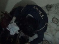Şanlıurfa'da DAİŞ ve El Kaide operasyonu: Suriye uyruklu 5 kişi yakalandı