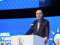 Cumhurbaşkanı Erdoğan: Belediyelerimiz; hayvan barınaklarını ihmal etmeyiniz