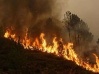 Arjantin'de orman yangınları 20 gündür devam ediyor
