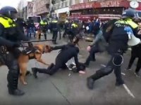 Hollanda'da "kısıtlama" protestosu polis şiddetine neden oldu