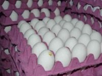 Rekabet Kurumundan yumurta sektörüne soruşturma