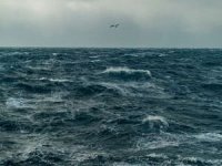 Meteorolojiden Karadeniz ve Marmara Denizi için fırtına uyarısı