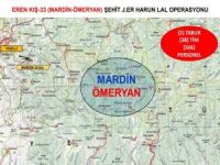 Mardin’de Eren Kış-33 operasyonu başlatıldı