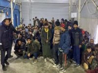 Ağrı'da 113 düzensiz göçmen yakalandı
