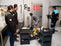Kayseri'de 2,5 ton balığa el konuldu