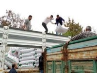 ​Malatya’da çiftçilere 21 ton nohut tohumu dağıtıldı
