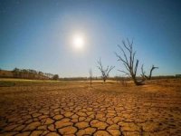 Doğu Afrika'da kuraklık etkisini artırıyor
