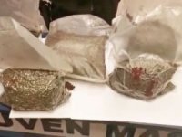 İstanbul'da 4,5 kilogram bonzai ele geçirildi