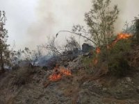 İzmir'de bir orman yangını daha
