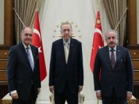 Cumhurbaşkanı Erdoğan Avusturya Meclis Başkanını kabul etti