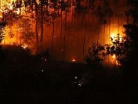Fransa'da orman yangını