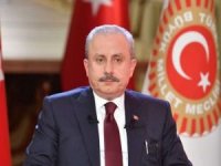 Mustafa Şentop, Meclis çalışmalarını erteleme kararı aldıklarını açıkladı