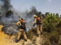 Portekiz’de 14 farklı ormanda yangın çıktı