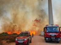 İzmir'de orman yangınına neden olan 7 işçi gözaltına alındı