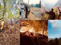 Datça'da orman yangınının bilançosu: 700 hektar alan ve 10 ev hasar gördü