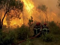 Fransa'daki orman yangınında 3 bin 400 hektar alan zarar gördü