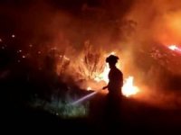 İspanya'da orman yangınlarıyla mücadele devam ediyor