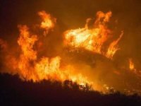 İtalya birçok noktada çıkan orman yangınları ile mücadele ediyor