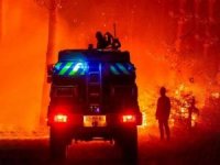 Fransa'da orman yangınlarının bilançosu artıyor: 31 bin kişi tahliye edildi