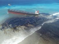 Bahamalar'da bir tankerden sızan petrol kirliliğe yol açtı