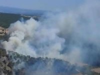 Çanakkale'de kaza yapan araç orman yangınına neden oldu