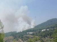 Kütahya'daki orman yangınına havadan ve karadan müdahale ediliyor