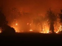 Gürcistan'da büyük orman yangını