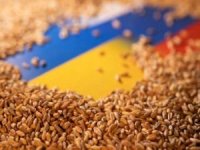 AB, Ukrayna tahıl ürünlerine uyguladığı yasağı kaldırıyor