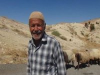 65 yıllık çoban: Hayvancılığa gereken önem verilmiyor