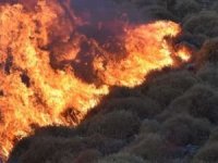 İspanya'da orman yangınları 3 haftadır devam ediyor
